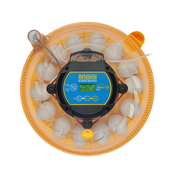 brinsea autoturn cradle problems brinsea autoturn cradle problems